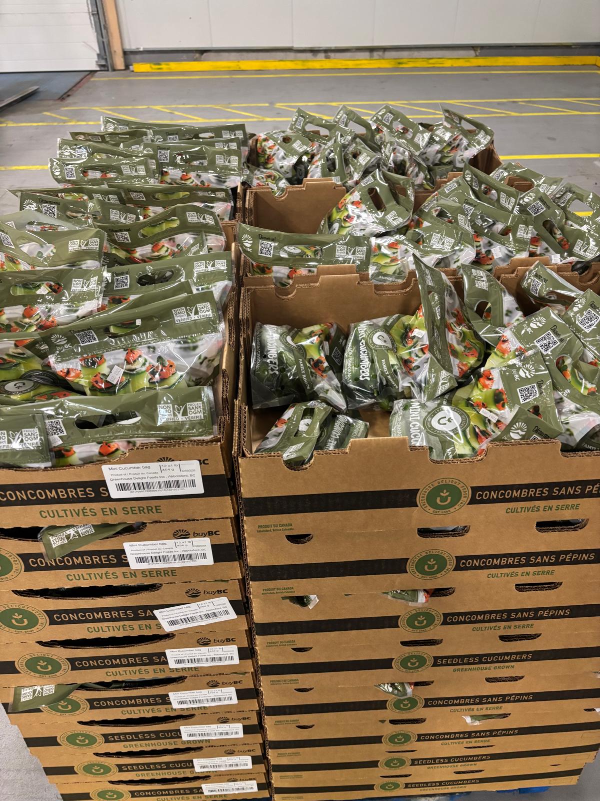 Bags of mini cucumbers packed in stacked cardboard produce boxes
